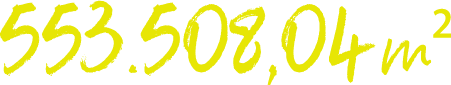 553508.04 m²